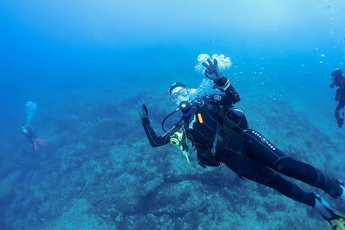 Scuba Dive Tours of Seattle and Puget Sound ~ Seattle Dive Tours