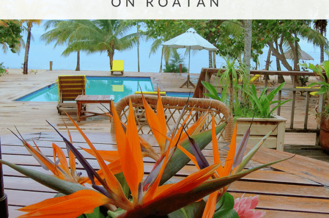 Using US Dollars on Roatan