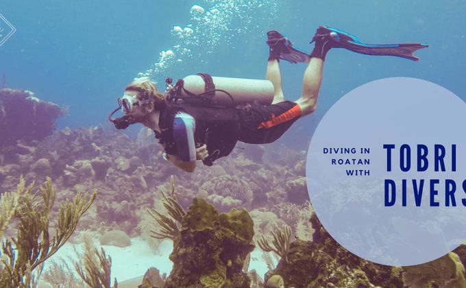 Tobri Divers Roatan