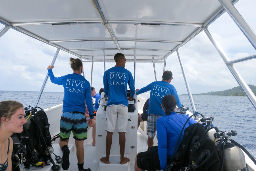 Roatan Divers Team