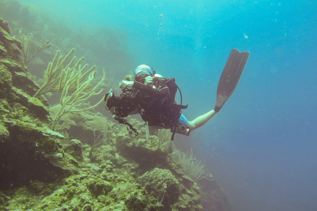 Roatan Divers