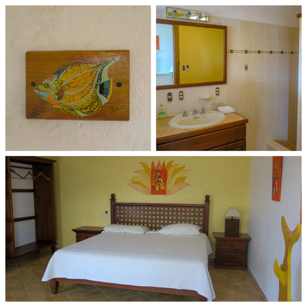 Tobri Divers Angelfish