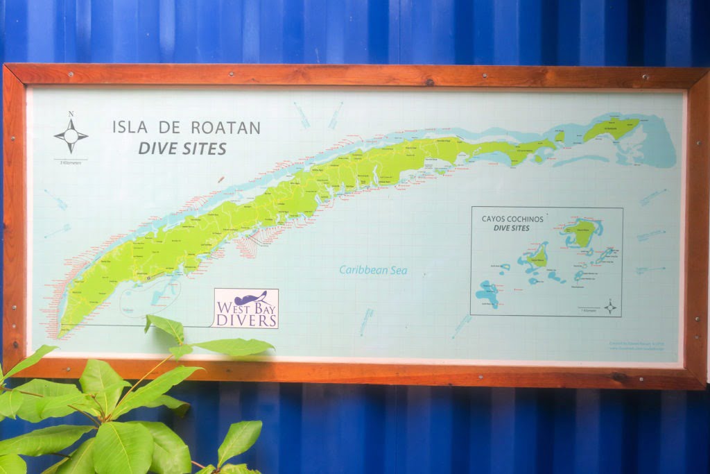 West Bay Divers Roatan