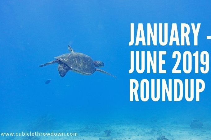 January - June 2019 Roundup | Cubicle Throwdown